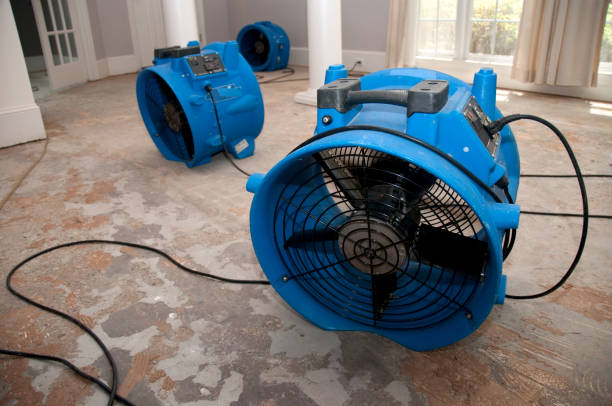Best Flood restoration services  in China Lake Acres, CA