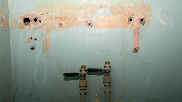Best Water damage cleanup near me  in China Lake Acres, CA